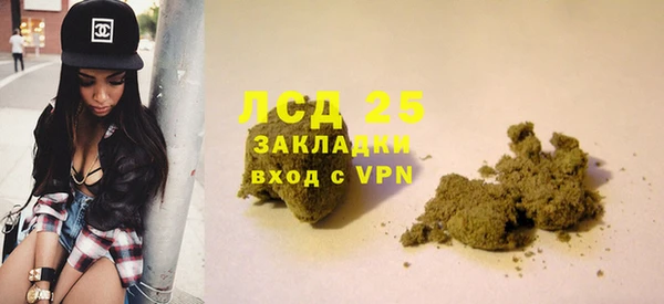 сатива Липки