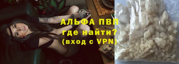 сатива Липки