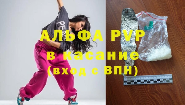 сатива Липки