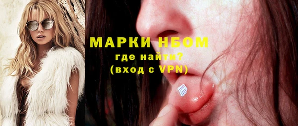 сатива Липки