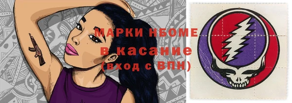 сатива Орск