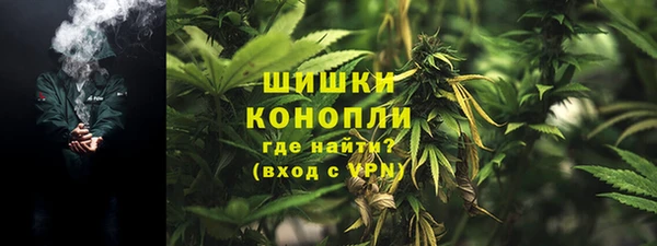 сатива Липки